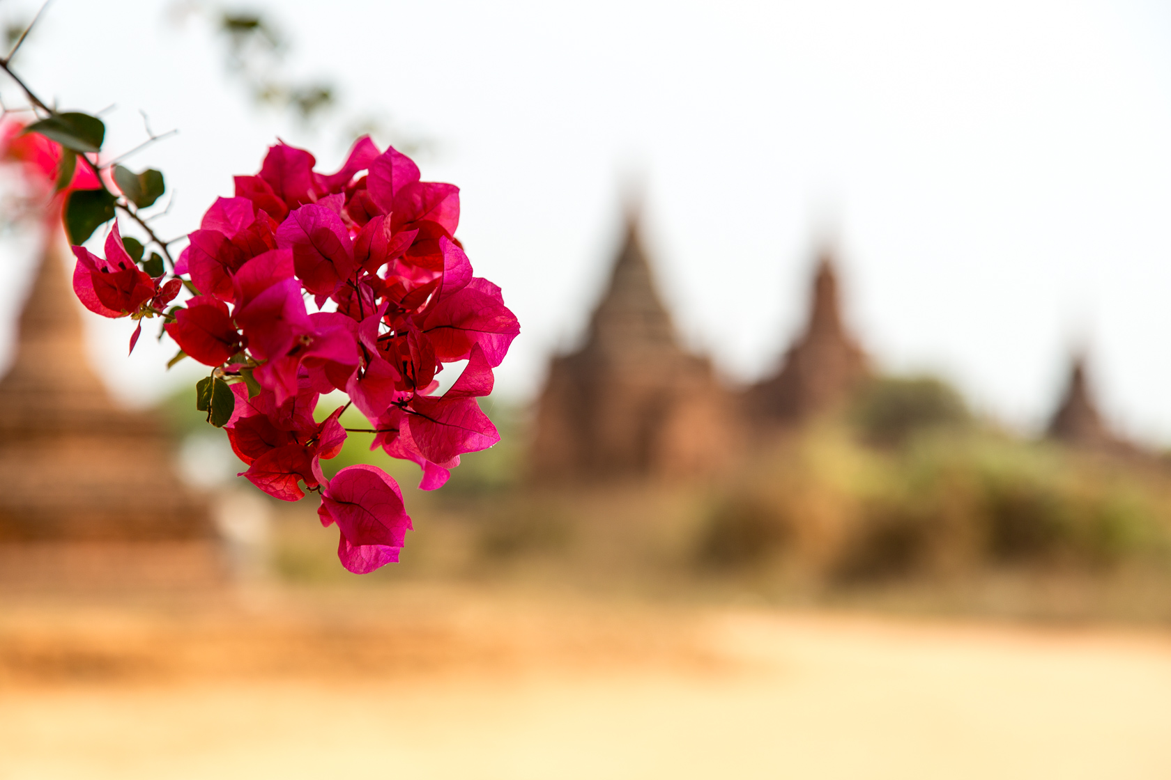 Day 15: Bagan, Day 3 (last day in Bagan)